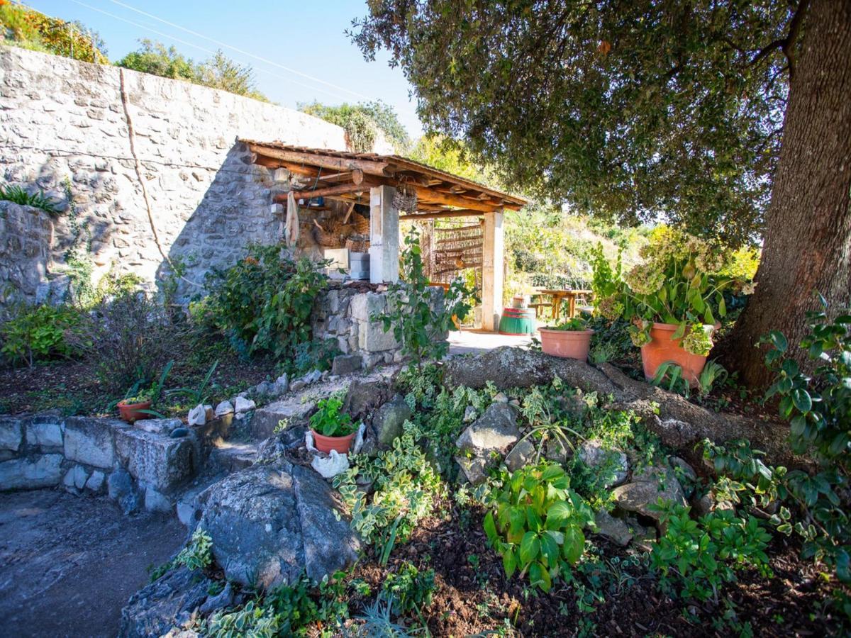 Country House Bakicevo Čilipi Værelse billede