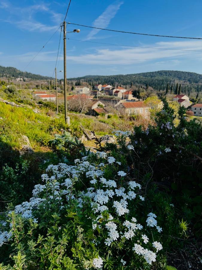 Country House Bakicevo Čilipi Eksteriør billede