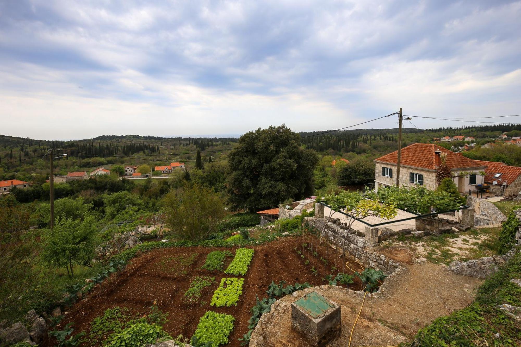 Country House Bakicevo Čilipi Eksteriør billede